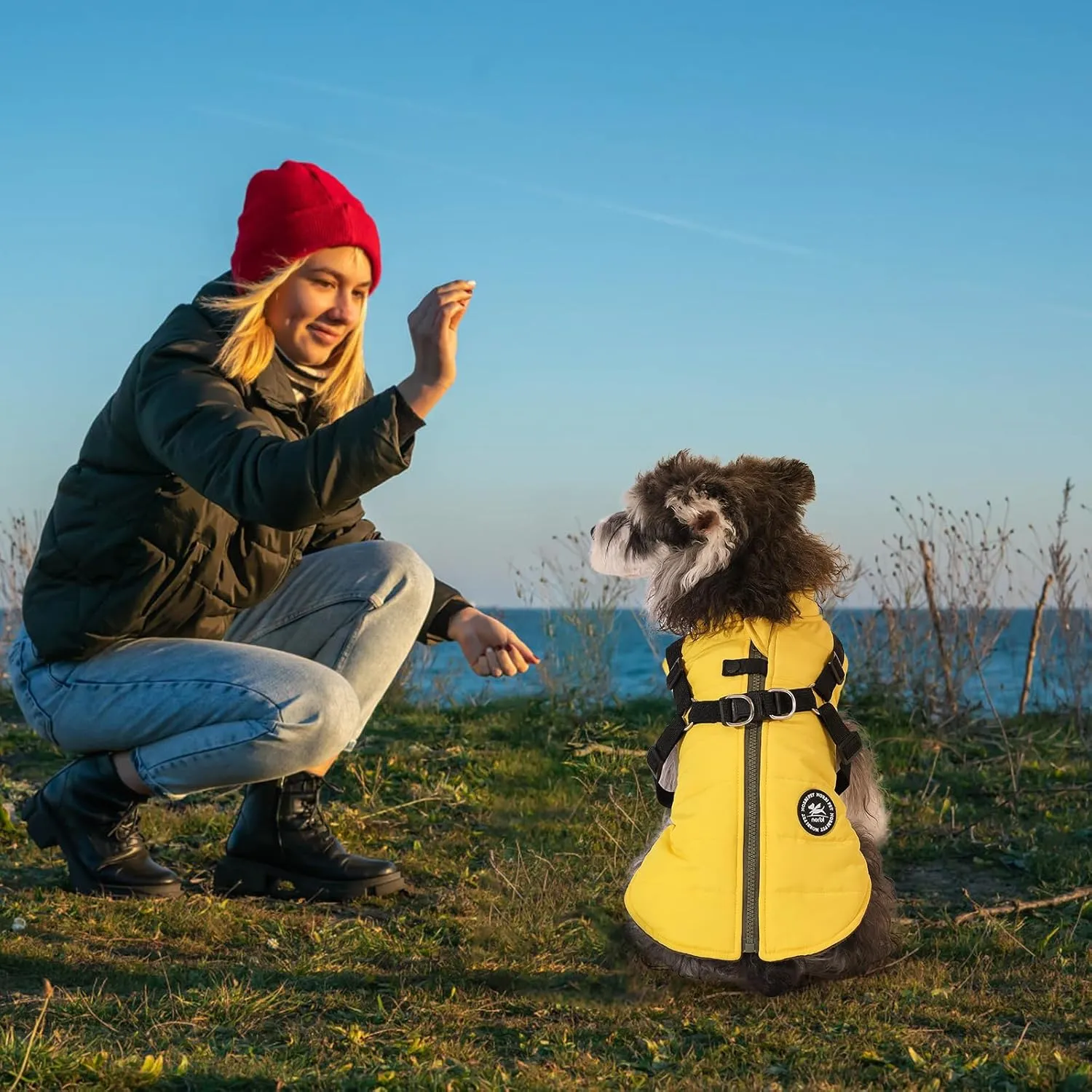 Norbi Dog Coat - Winter Jacket with Built-in Harness, Adjustable for Small to Large Dogs, Warm for Cold Weather