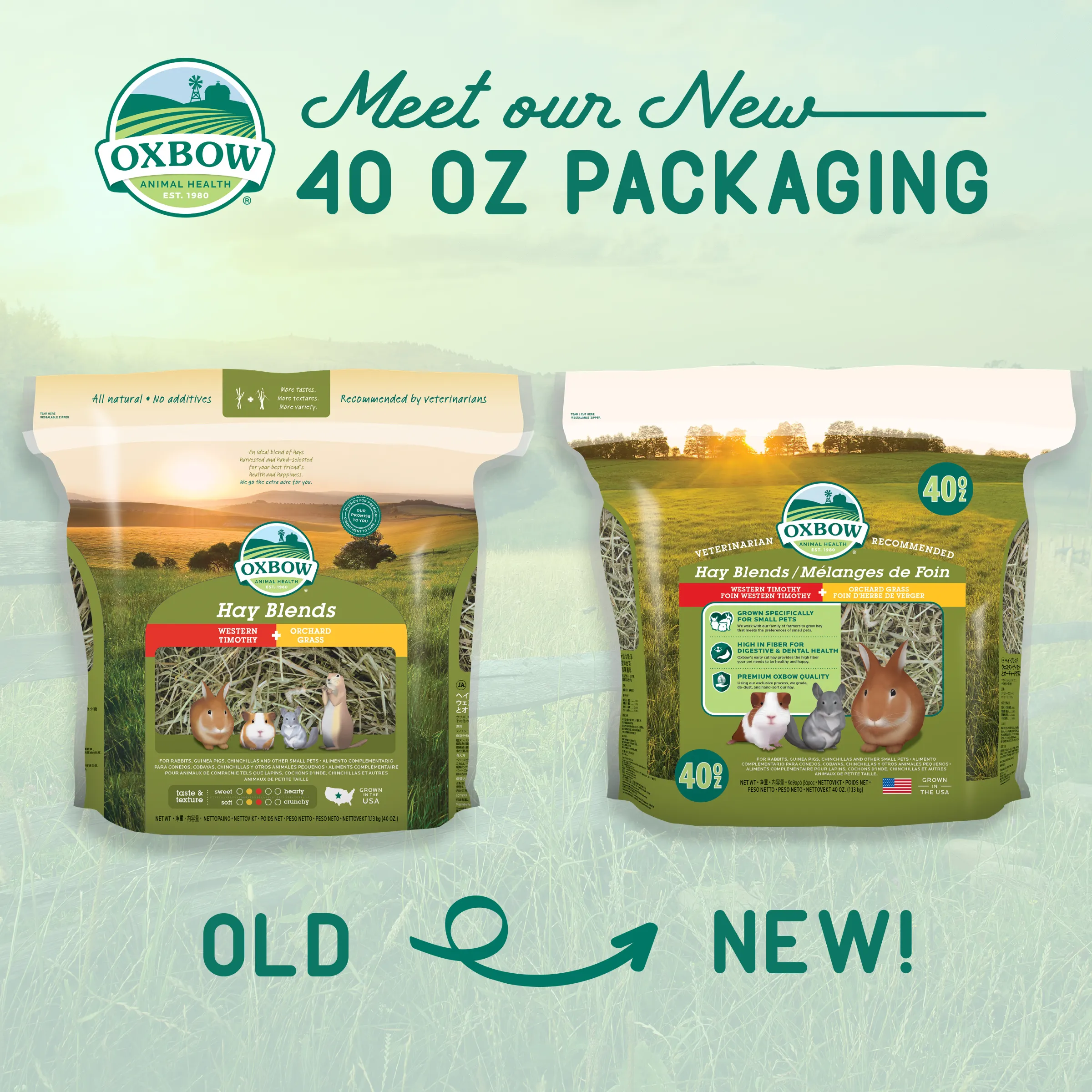 Oxbow® Hay Blends - Western Timothy & Orchard Grass Hay