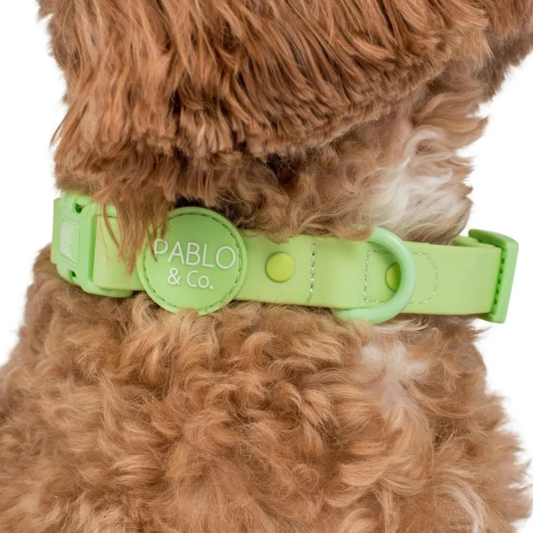 Pablo & Co. Waterproof Dog Collar
