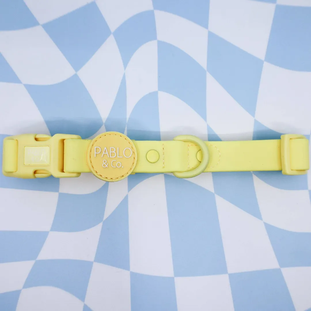 Pablo & Co. Waterproof Dog Collar