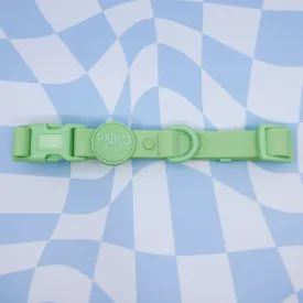 Pablo & Co. Waterproof Dog Collar