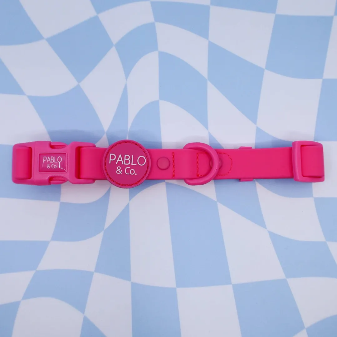 Pablo & Co. Waterproof Dog Collar