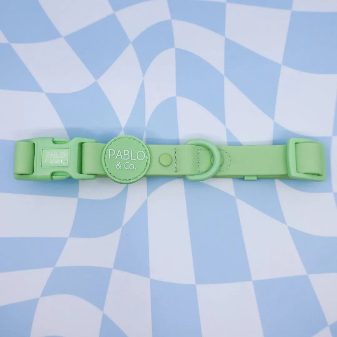 Pablo & Co. Waterproof Dog Collar