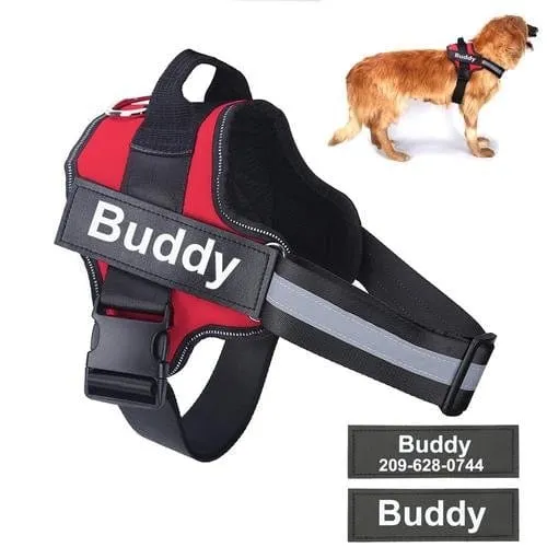 Personalised No Pull Dog Harness