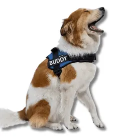 Personalised No Pull Dog Harness