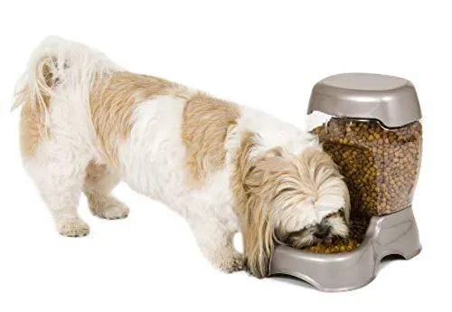 Petmate Pet Cafe Feeder Dog and Cat Feeder Pearlescent Colors 3 Sizes