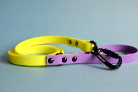 PREMADE COLLECTION - Amethyst & Neon Yellow Biothane Dog Leash