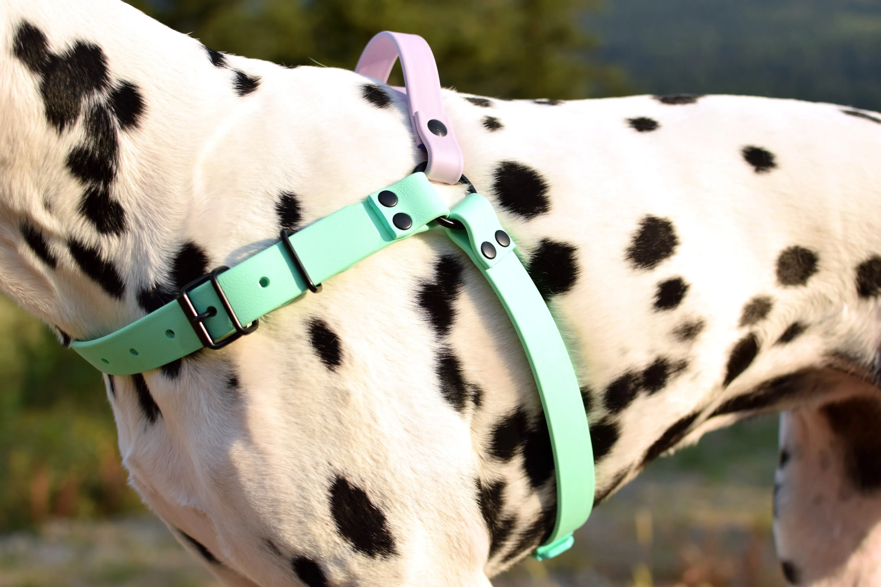 PREMADE COLLECTION - Black & Sahara Tan Biothane Dog Harness