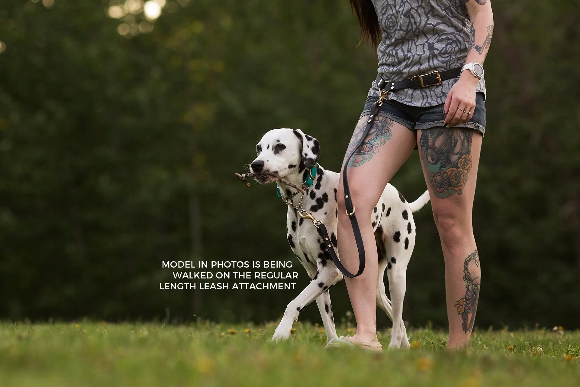 PREMADE COLLECTION - Forest & Black Convertible Biothane Hands-Free Waist Leash