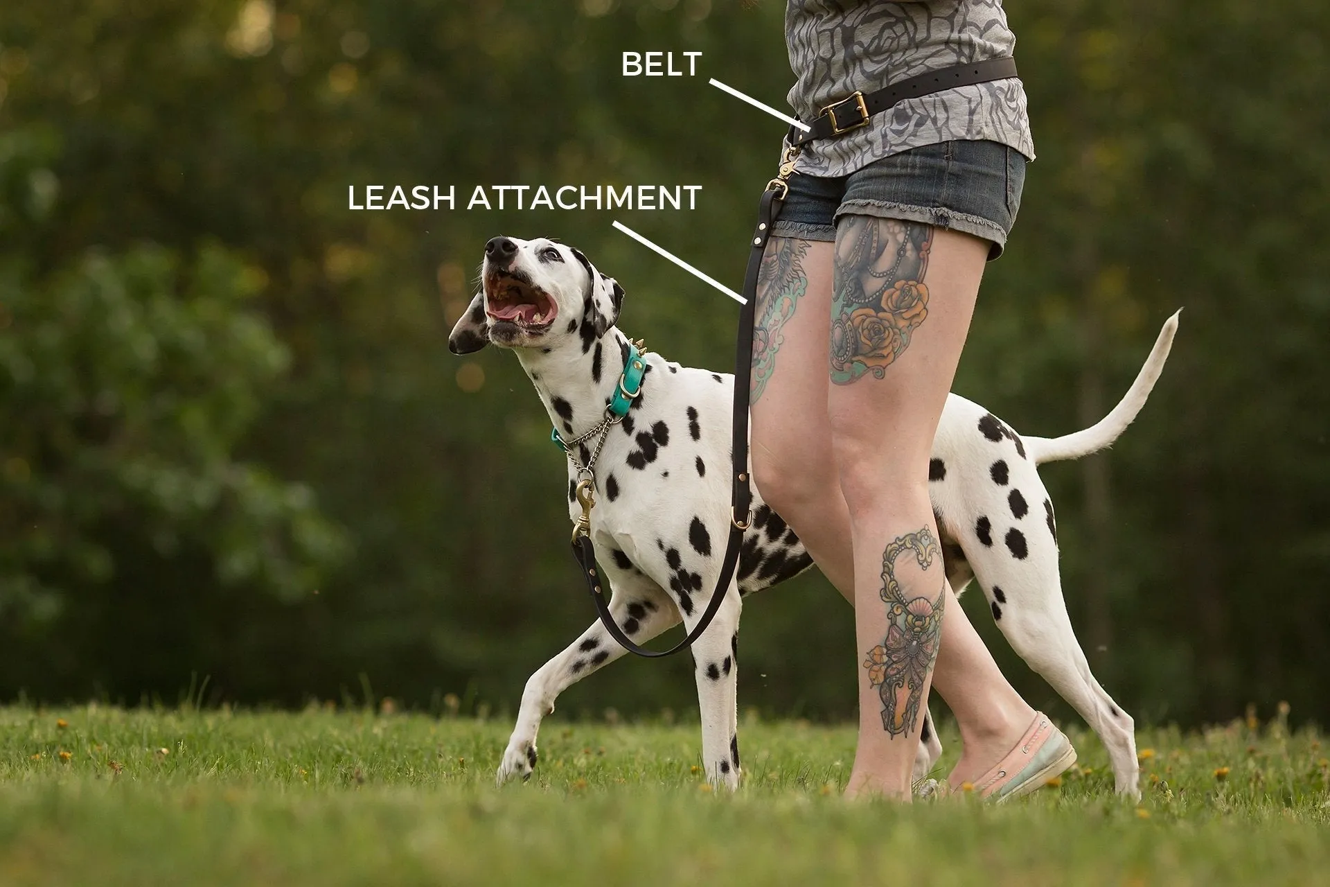 PREMADE COLLECTION - Forest & Black Convertible Biothane Hands-Free Waist Leash