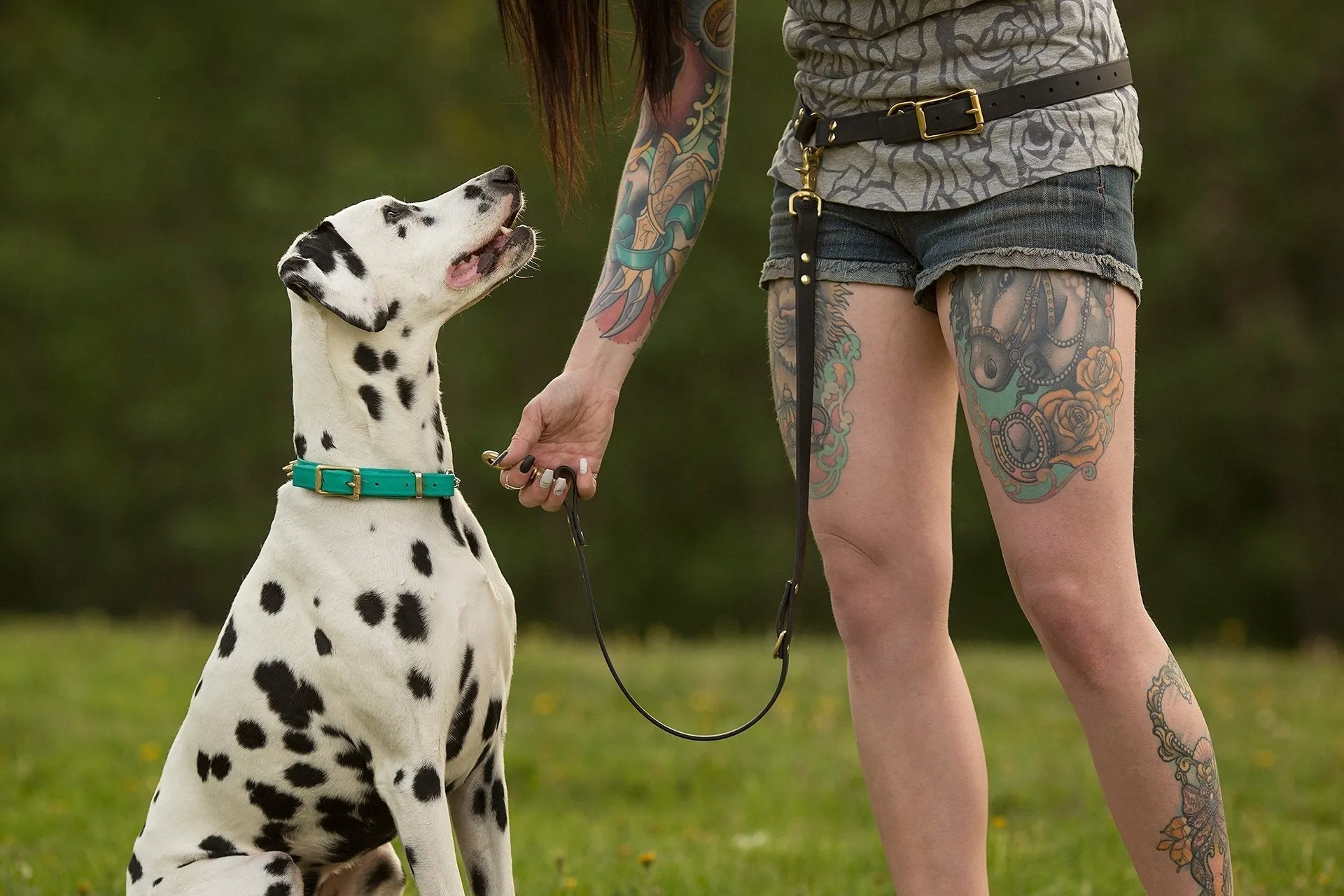 PREMADE COLLECTION - Forest & Black Convertible Biothane Hands-Free Waist Leash