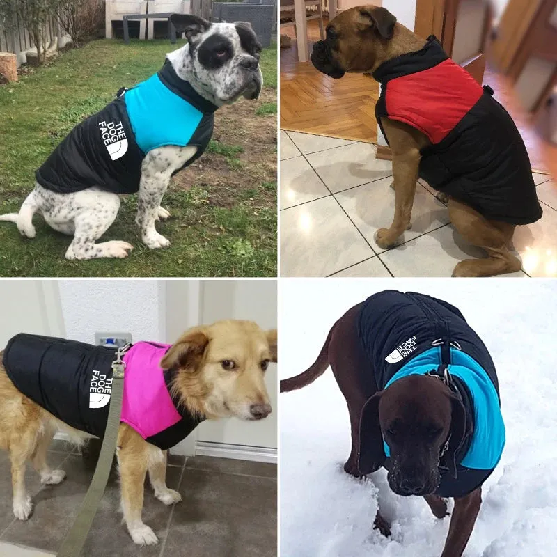 "The Dog Face" Waterproof Vest w/ Zipper