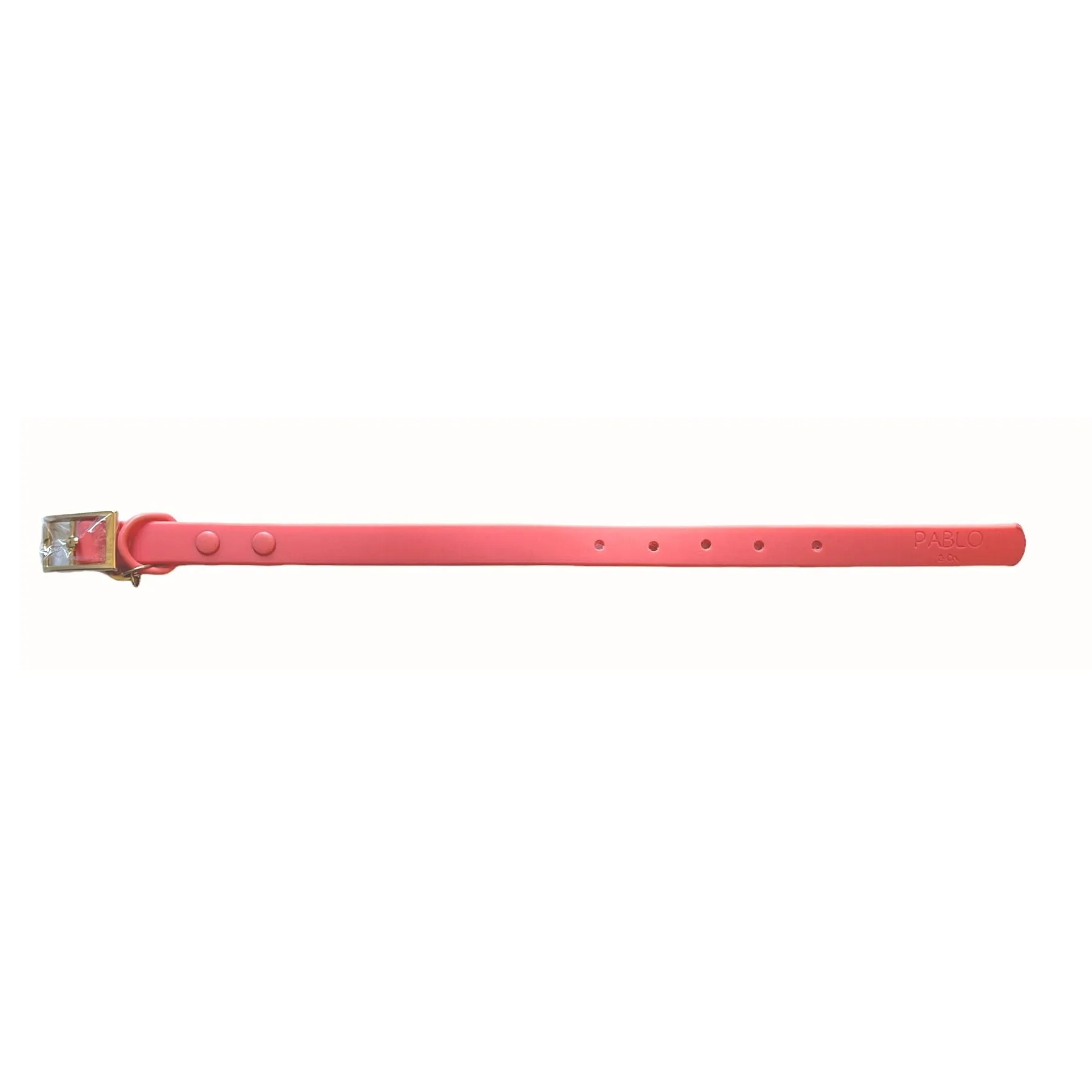 Raspberry Waterproof Collar