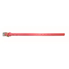 Raspberry Waterproof Collar