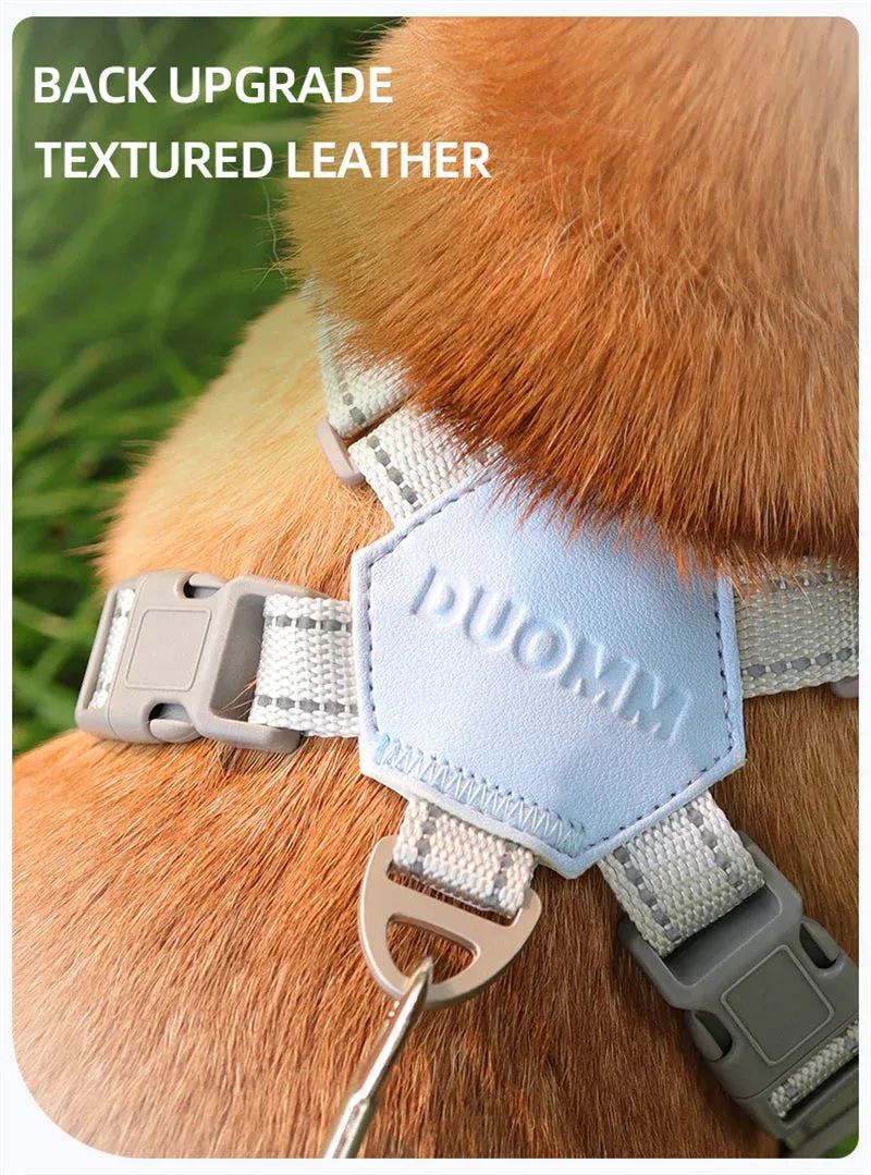 Reflective Dog Harness and Leash Set for Small to Medium Dogs