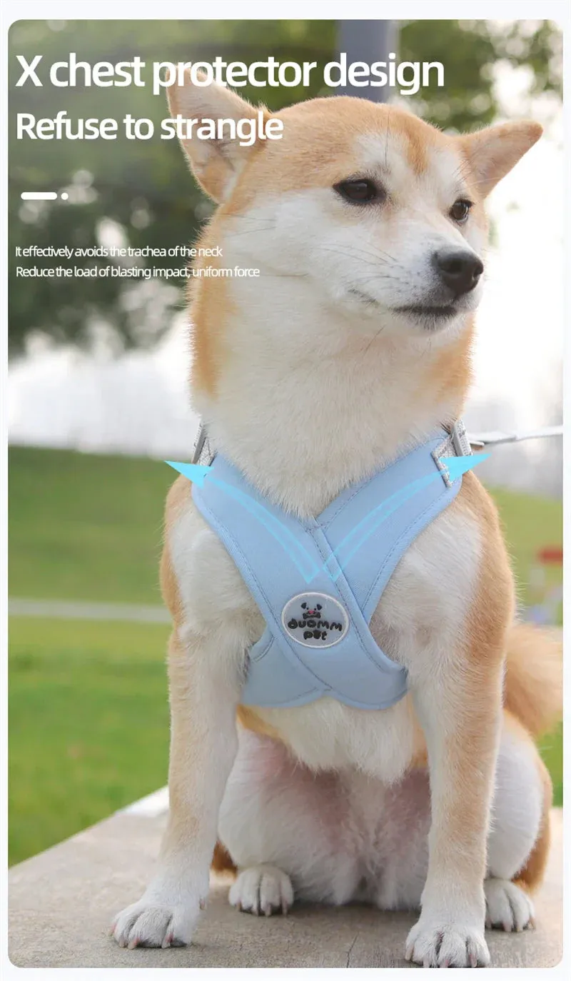 Reflective Dog Harness and Leash Set for Small to Medium Dogs