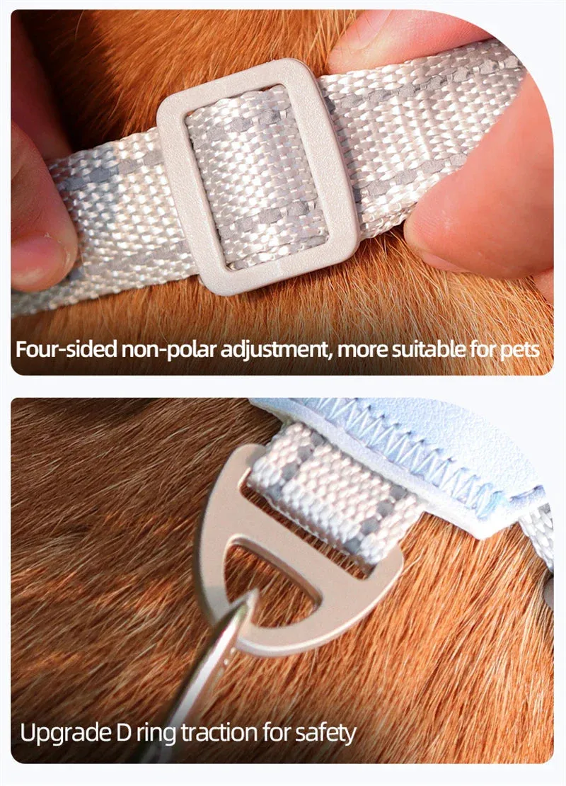 Reflective Dog Harness and Leash Set for Small to Medium Dogs