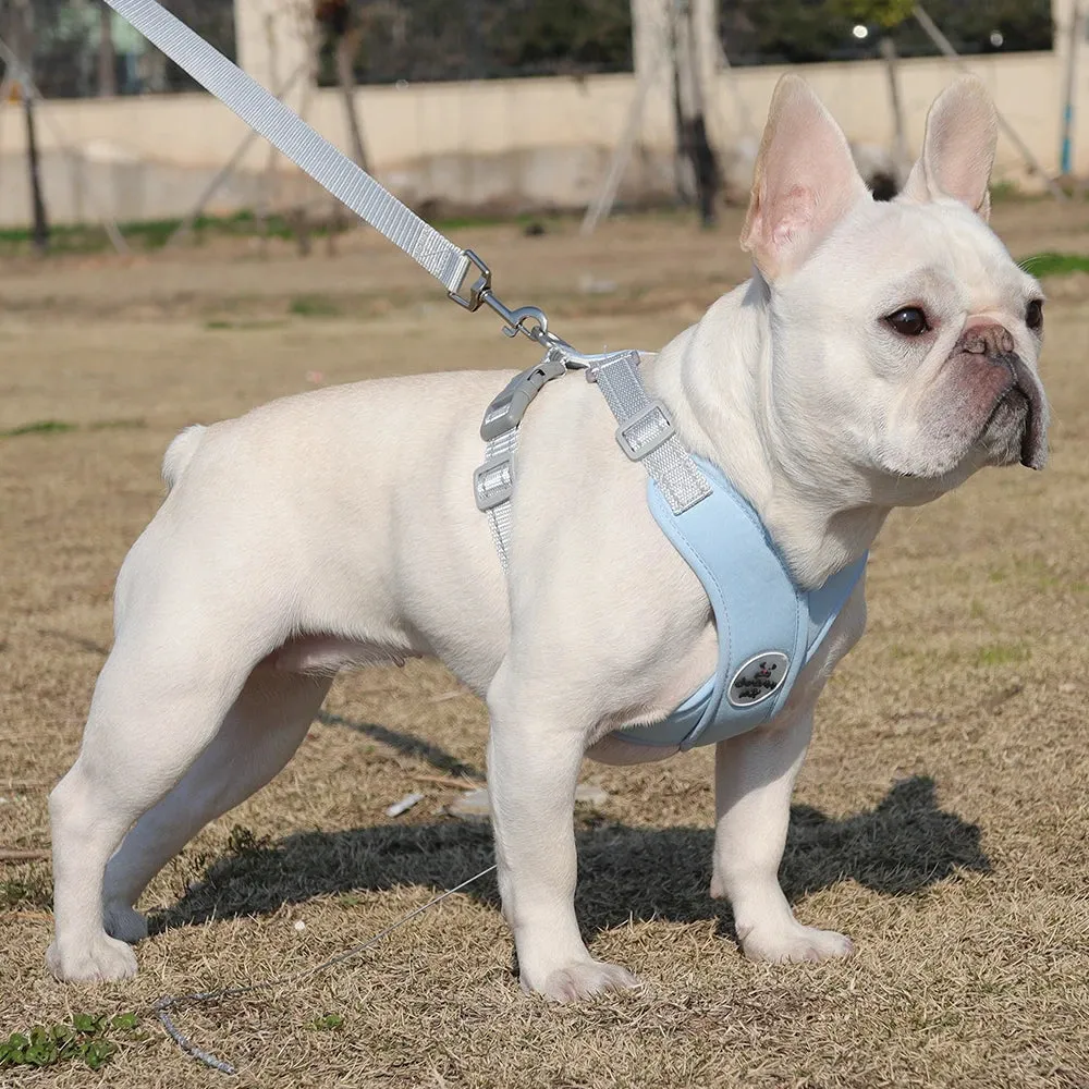 Reflective Dog Harness and Leash Set for Small to Medium Dogs