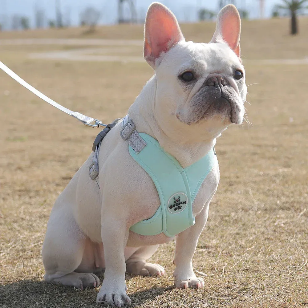 Reflective Dog Harness and Leash Set for Small to Medium Dogs