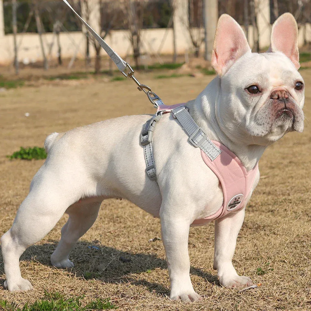 Reflective Dog Harness and Leash Set for Small to Medium Dogs