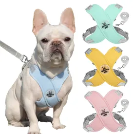 Reflective Dog Harness and Leash Set for Small to Medium Dogs