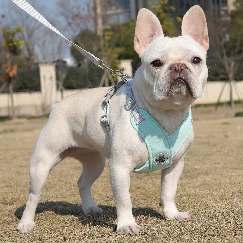 Reflective Dog Harness and Leash Set for Small to Medium Dogs