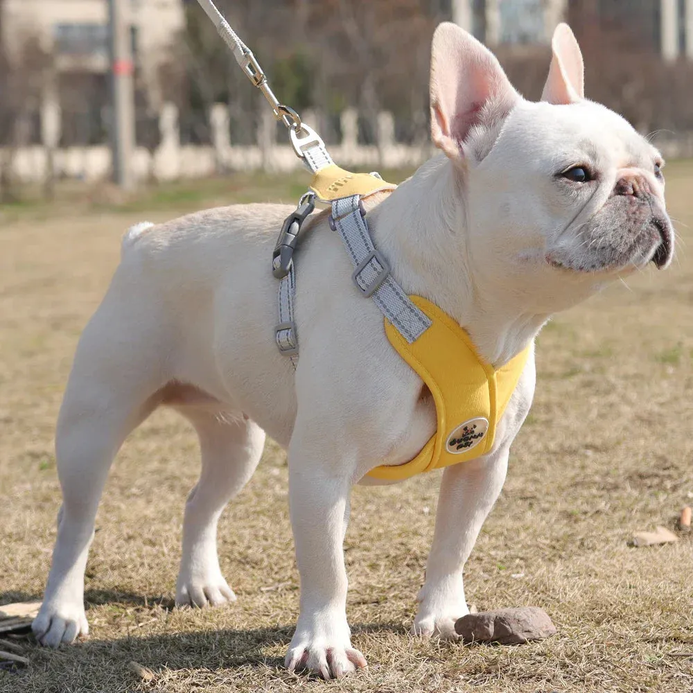 Reflective Dog Harness and Leash Set for Small to Medium Dogs