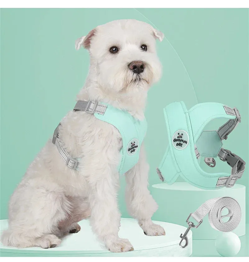Reflective Dog Harness and Leash Set for Small to Medium Dogs