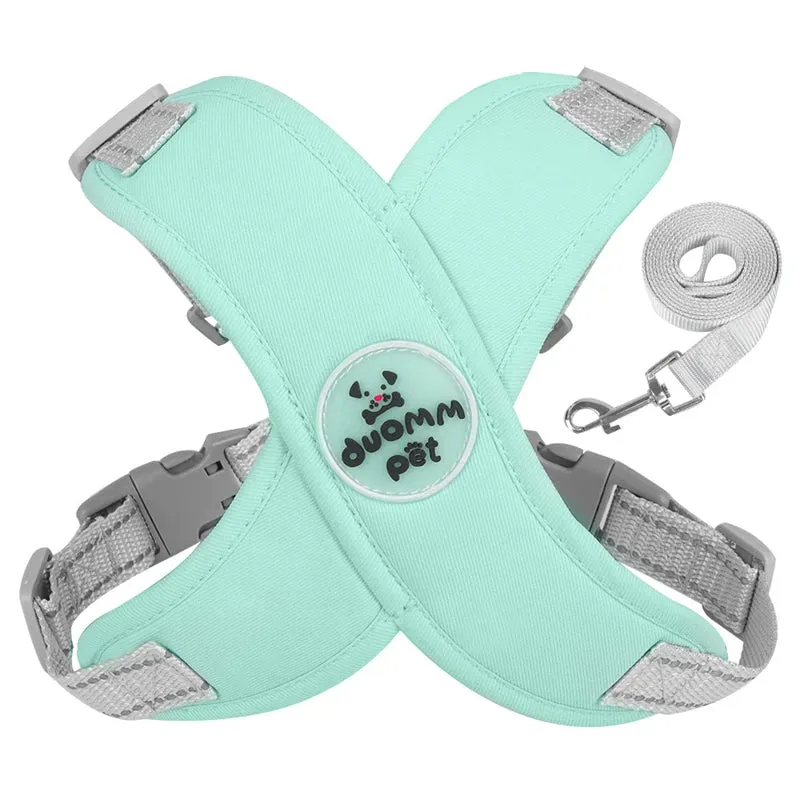 Reflective Dog Harness and Leash Set for Small to Medium Dogs