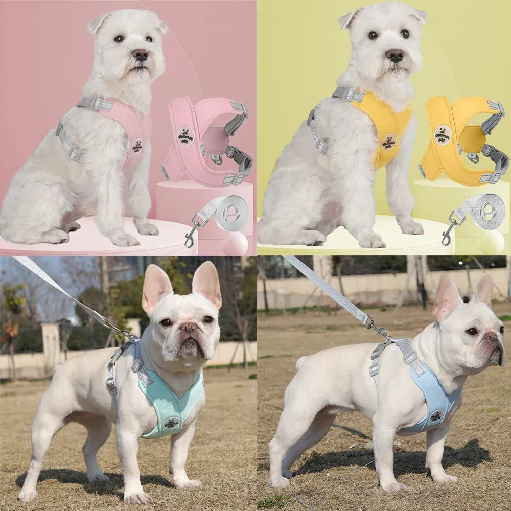 Reflective Dog Harness and Leash Set for Small to Medium Dogs