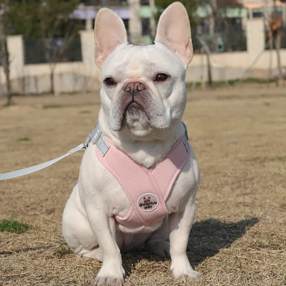 Reflective Dog Harness and Leash Set for Small to Medium Dogs