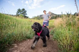 Ruffwear - Front Range Dog Harness