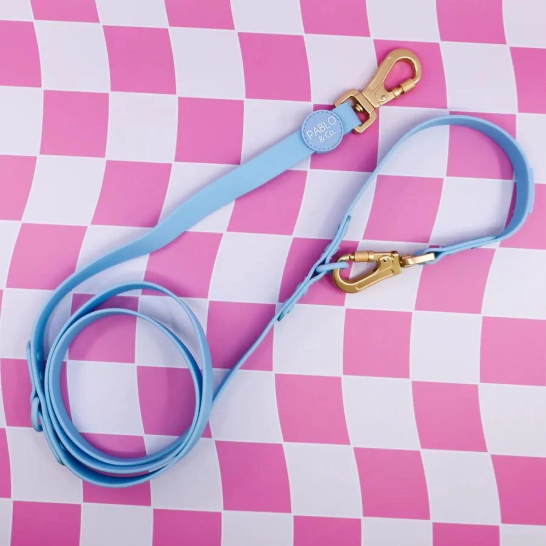 Sea Salt Multi-Functional Waterproof Leash