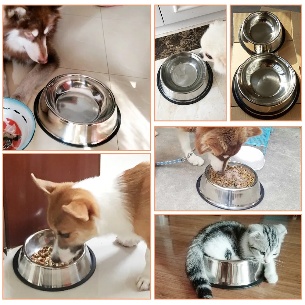 Stainless Steel Feeder Bowl