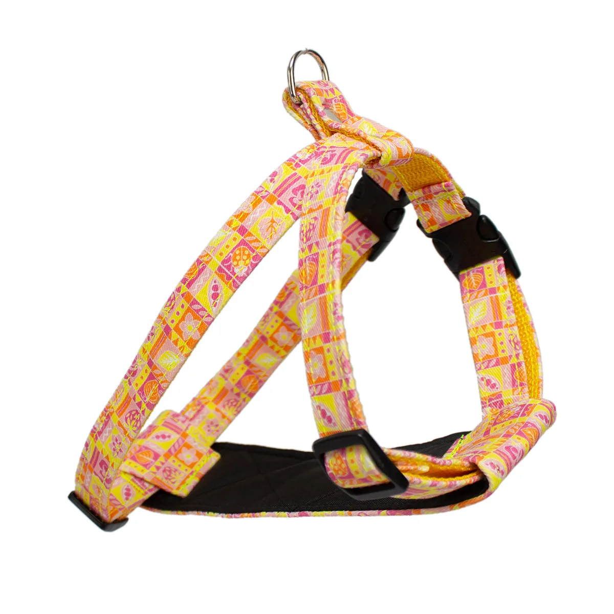 Summer Harvest Dog Harness