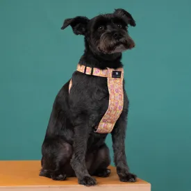 Summer Harvest Dog Harness