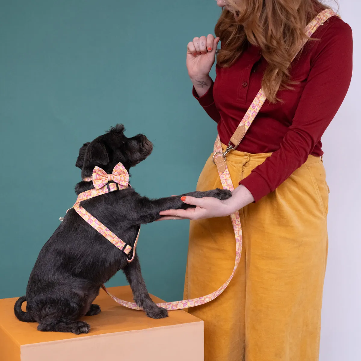 Summer Harvest Dog Harness