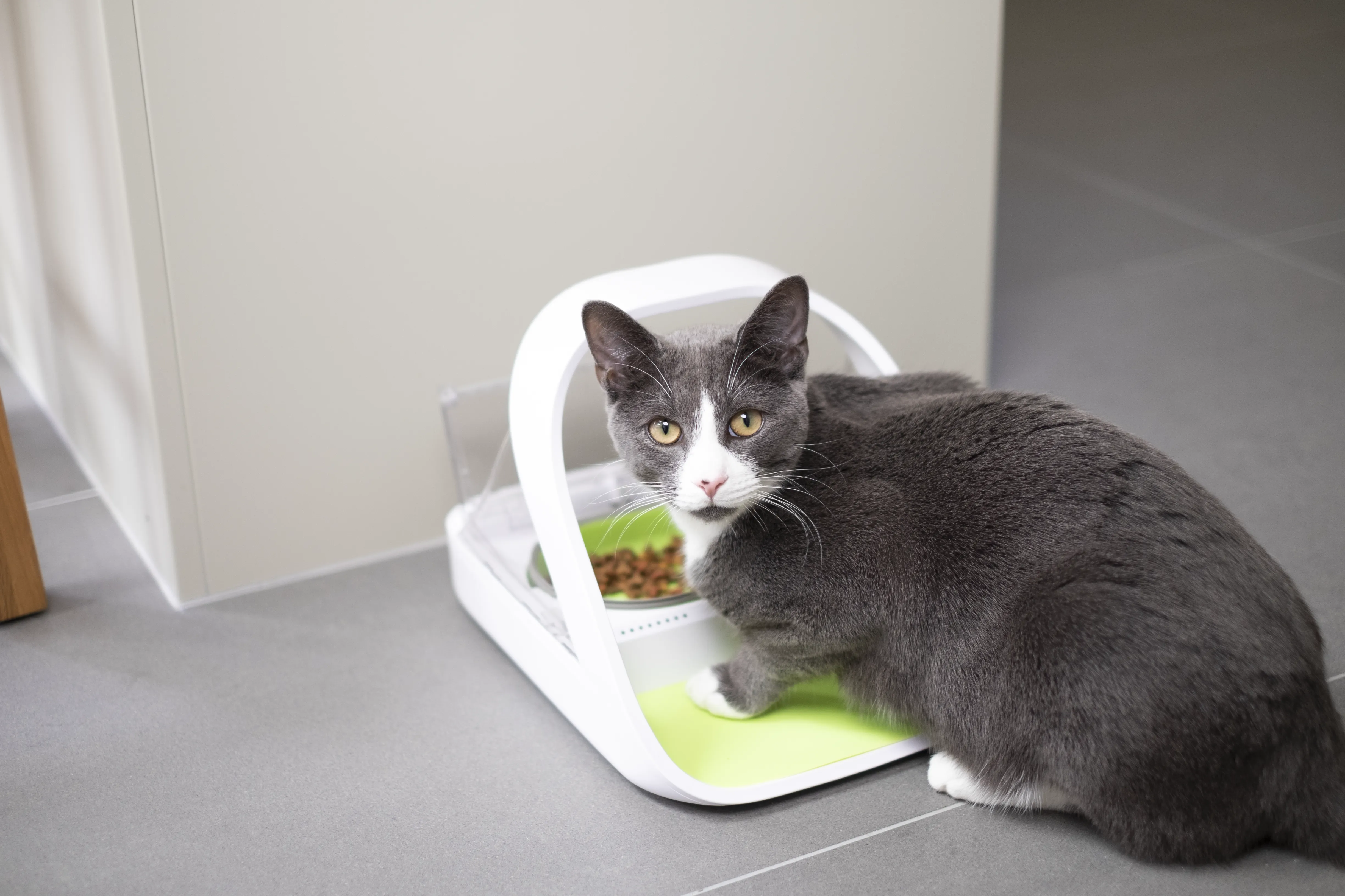 SureFeed Microchip Pet Feeder Connect And Hub