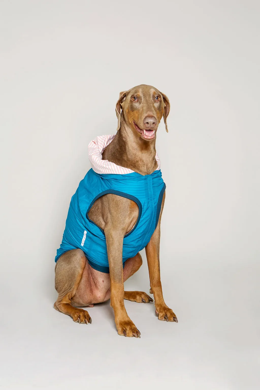 The Sharper Barker - Luxe Rain Jacket - Bubba - Blue with Pink Striped Lining