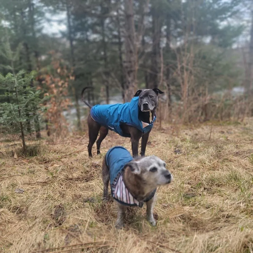 The Sharper Barker - Luxe Rain Jacket - Midnight Winston