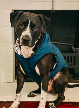 The Sharper Barker - Luxe Rain Jacket - Midnight Winston