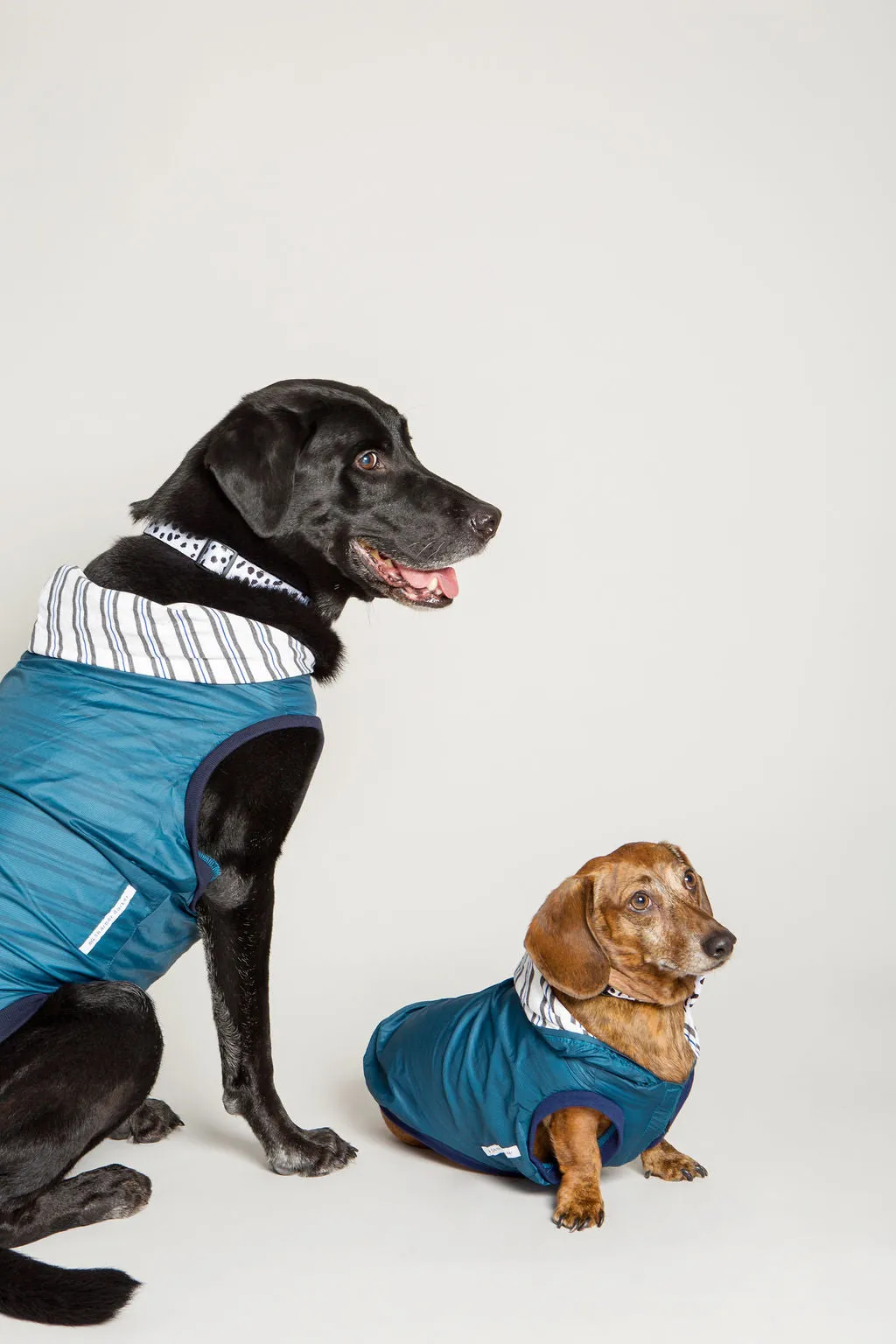 The Sharper Barker - Luxe Rain Jacket - Midnight Winston