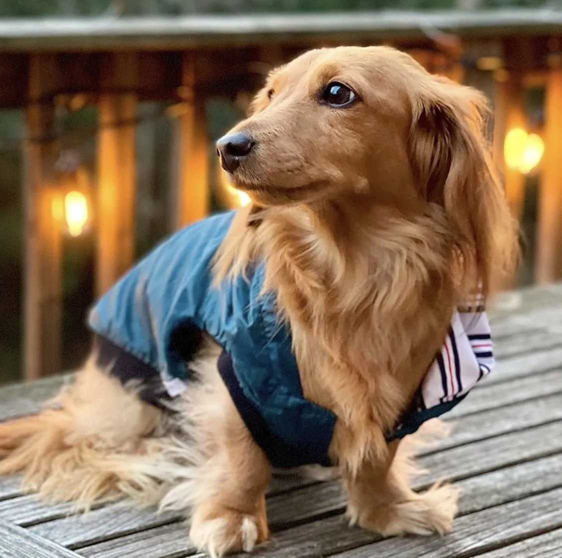 The Sharper Barker - Luxe Rain Jacket - Midnight Winston