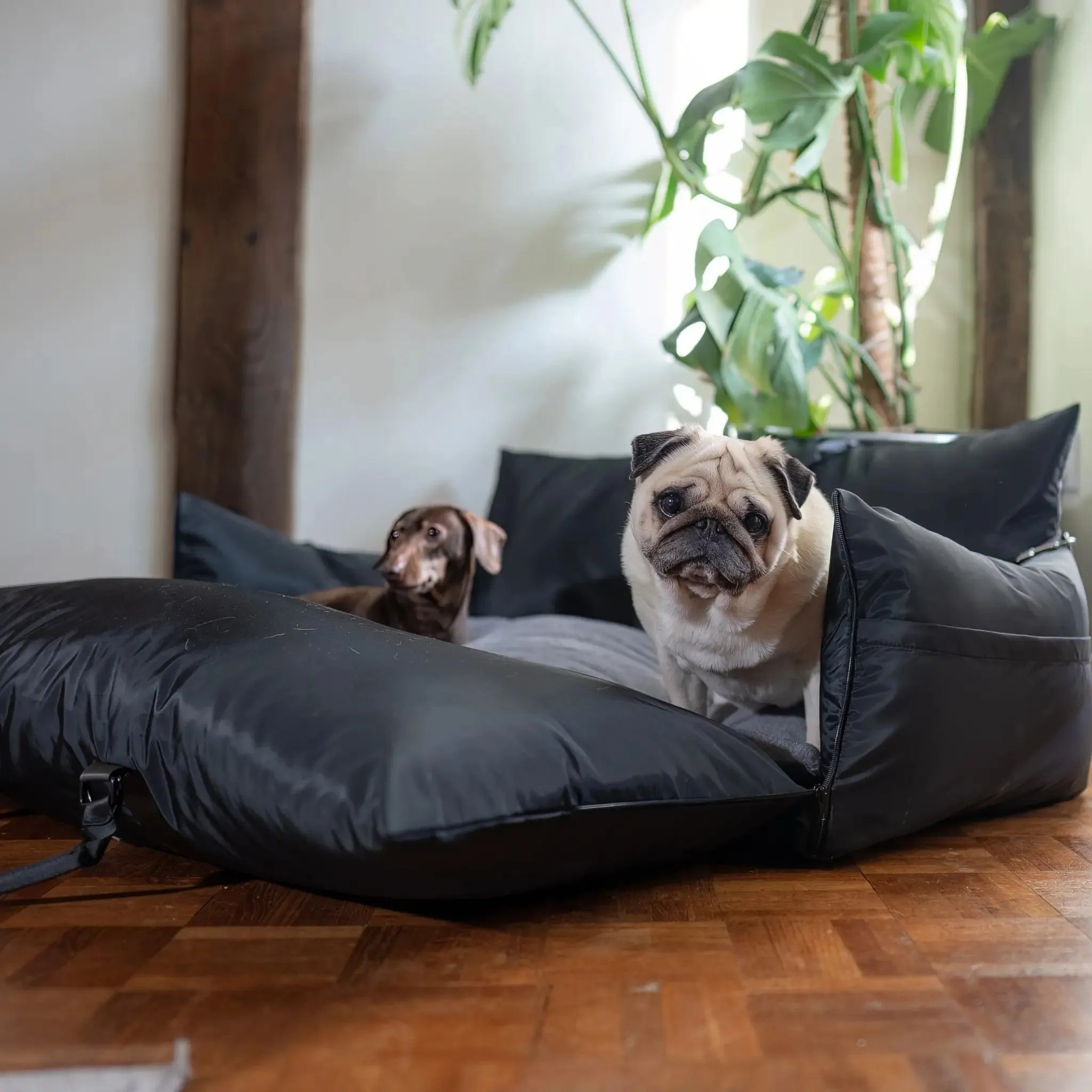 XL Pet Pod