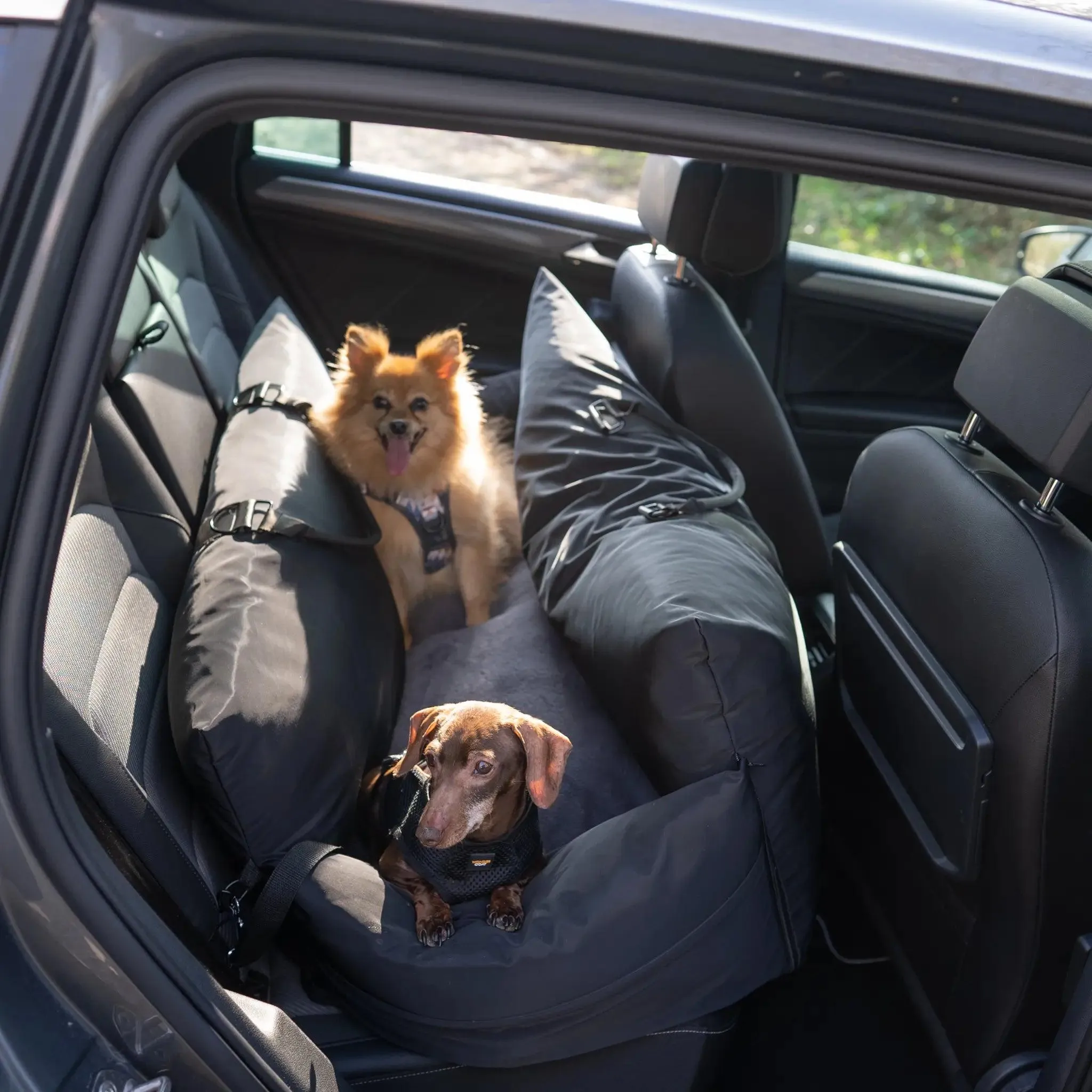 XL Pet Pod
