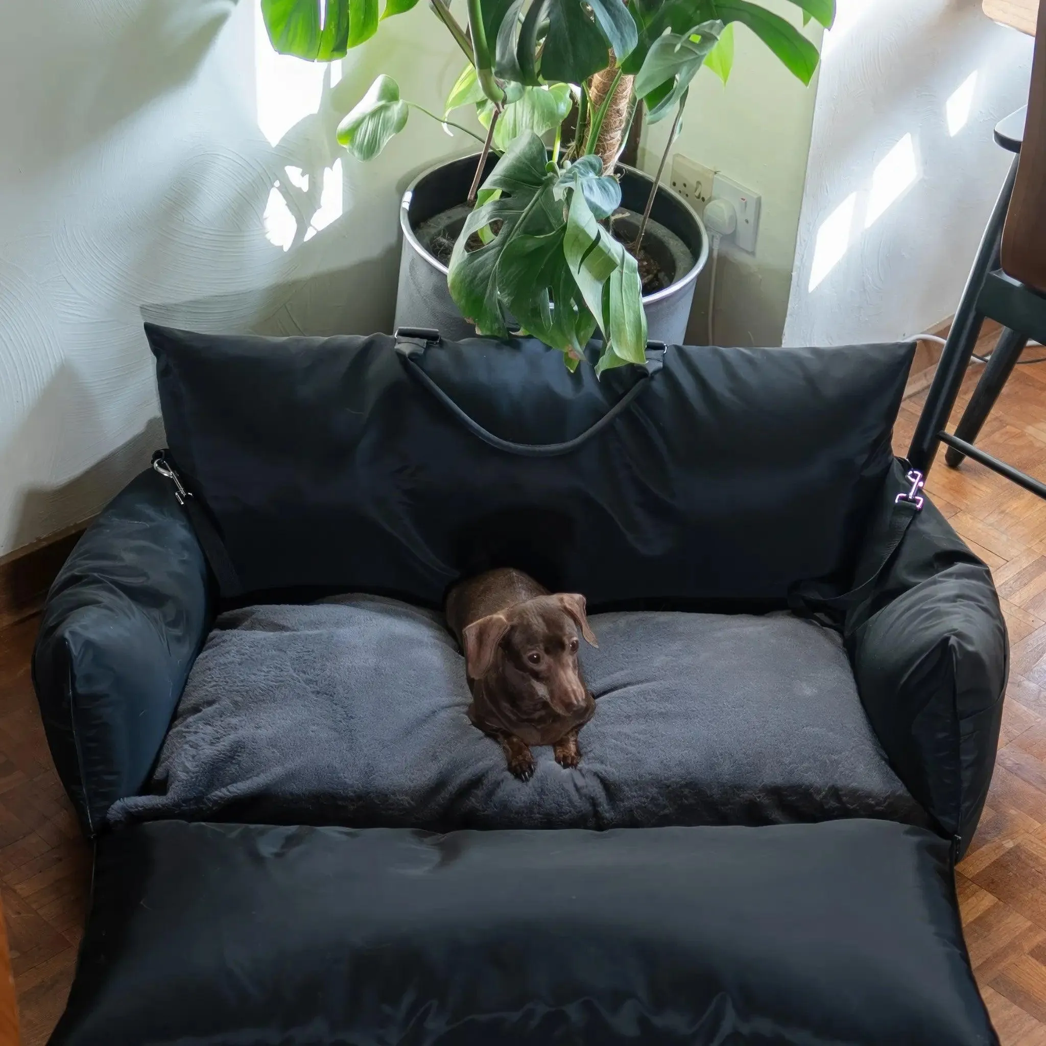 XL Pet Pod